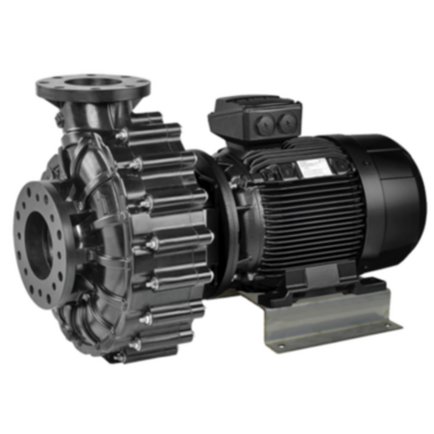 Speck Normblock Multi Series Swimming Pool Pump, Horizontal Plastic, 1750 RPM